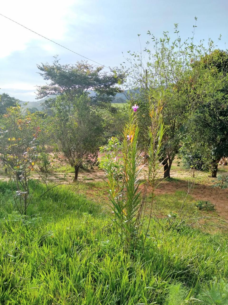 Sitio Vale Das Montanhas São Tomé das Letras Esterno foto