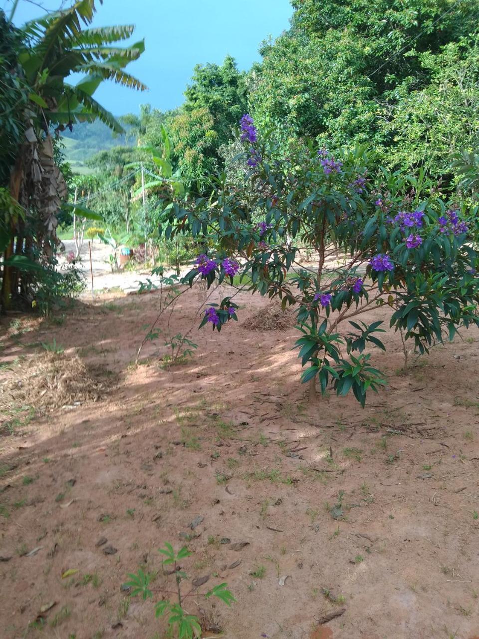 Sitio Vale Das Montanhas São Tomé das Letras Esterno foto
